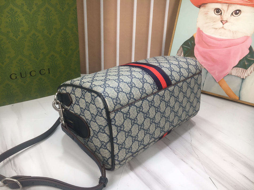 Gucci Travel Bags